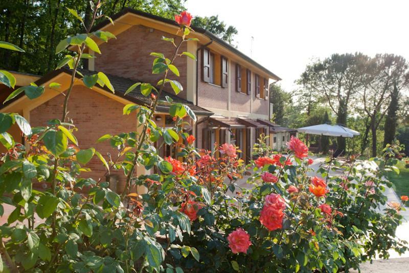 Agriturismo Di Paterno Sarzana Exterior foto